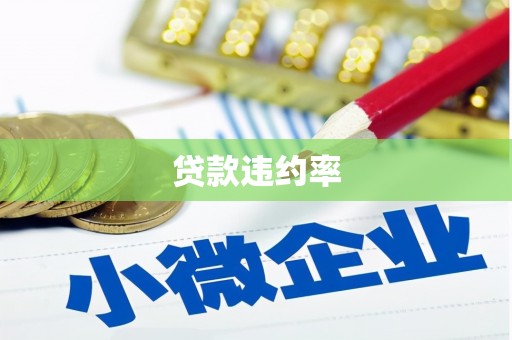 嘉善贷款违约率