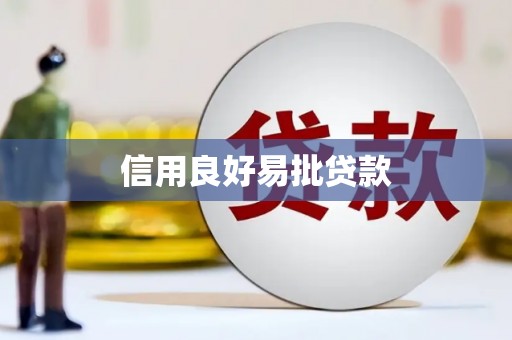 嘉善信用良好易批贷款