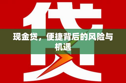 嘉善现金贷，便捷背后的风险与机遇
