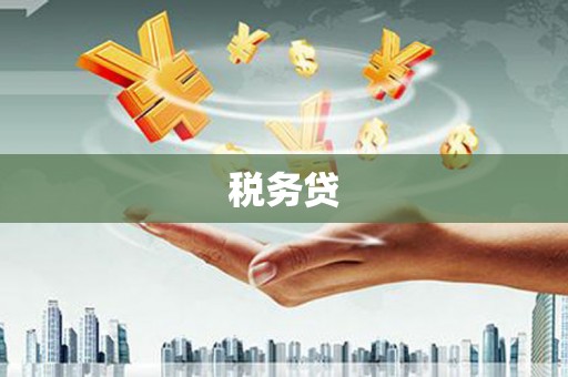 嘉善税务贷