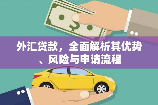 嘉善外汇贷款，全面解析其优势、风险与申请流程