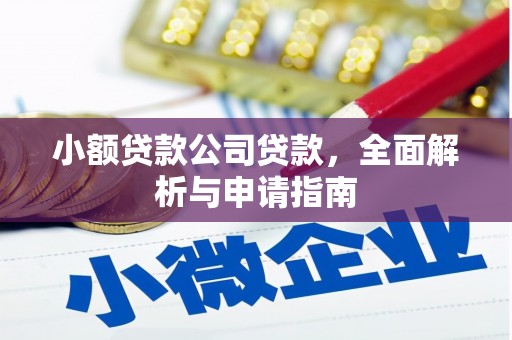 嘉善小额贷款公司贷款，全面解析与申请指南