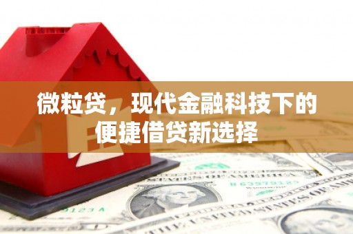 嘉善微粒贷，现代金融科技下的便捷借贷新选择