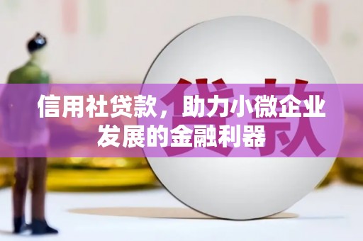嘉善信用社贷款，助力小微企业发展的金融利器