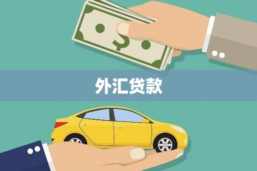 嘉善外汇贷款