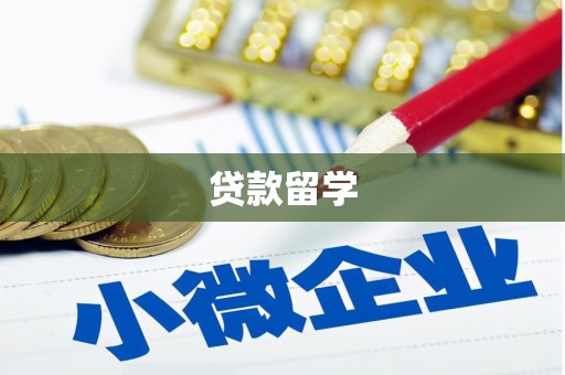 嘉善贷款留学