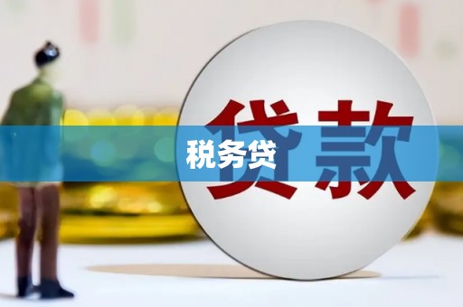 嘉善税务贷