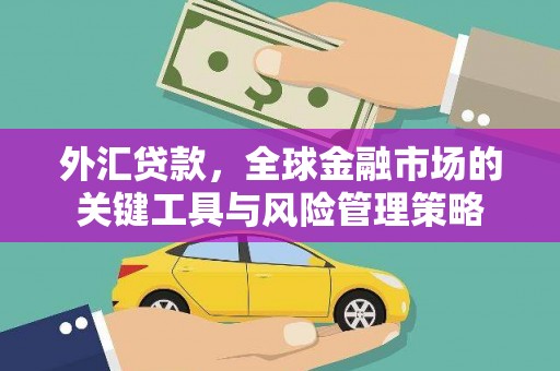 嘉善外汇贷款，全球金融市场的关键工具与风险管理策略