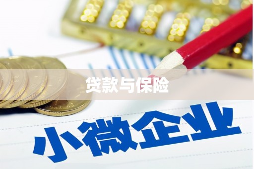 嘉善贷款与保险