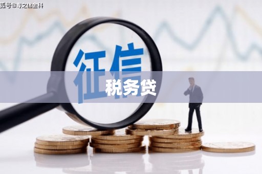 嘉善税务贷