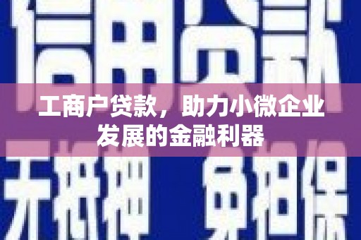 嘉善工商户贷款，助力小微企业发展的金融利器