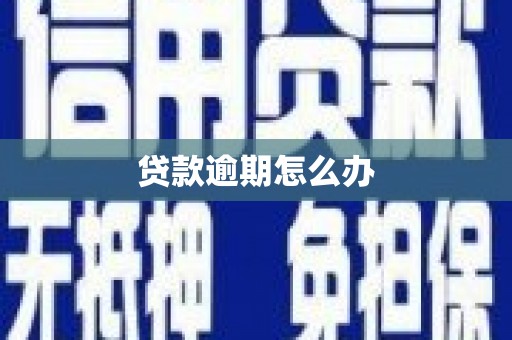 嘉善贷款逾期怎么办
