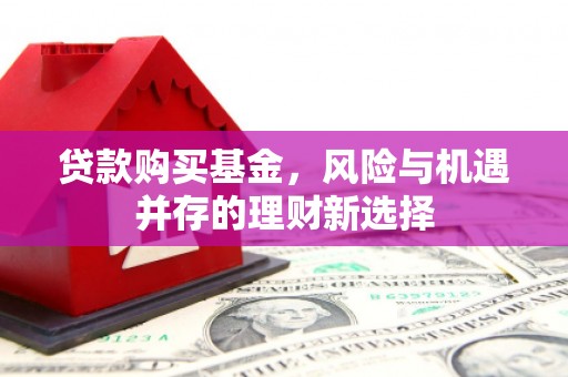 嘉善贷款购买基金，风险与机遇并存的理财新选择
