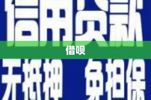 嘉善借呗