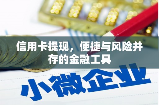 嘉善信用卡提现，便捷与风险并存的金融工具