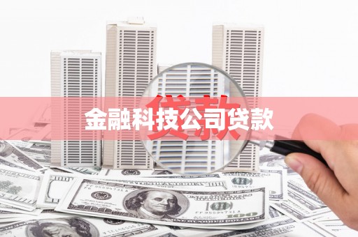 嘉善金融科技公司贷款