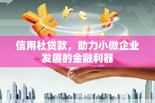 嘉善信用社贷款，助力小微企业发展的金融利器