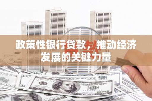 嘉善政策性银行贷款，推动经济发展的关键力量