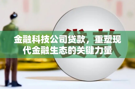 嘉善金融科技公司贷款，重塑现代金融生态的关键力量