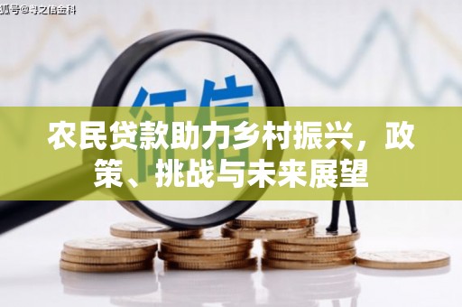 嘉善农民贷款助力乡村振兴，政策、挑战与未来展望
