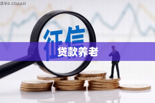 嘉善贷款养老
