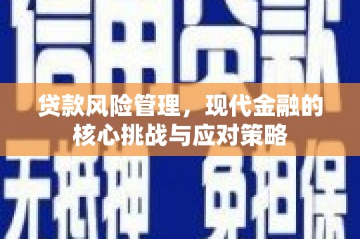 嘉善贷款风险管理，现代金融的核心挑战与应对策略