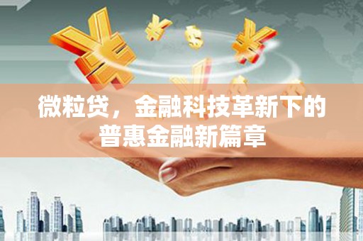 嘉善微粒贷，金融科技革新下的普惠金融新篇章