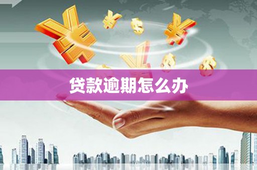 嘉善贷款逾期怎么办