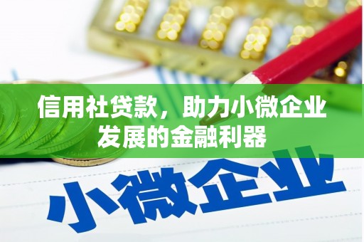 嘉善信用社贷款，助力小微企业发展的金融利器