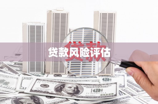 嘉善贷款风险评估