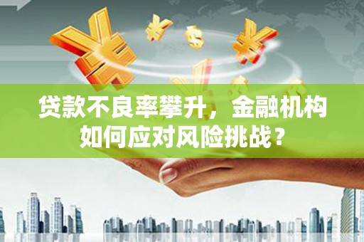 嘉善贷款不良率攀升，金融机构如何应对风险挑战？