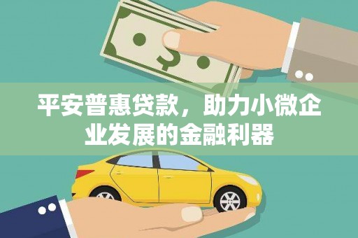 嘉善平安普惠贷款，助力小微企业发展的金融利器