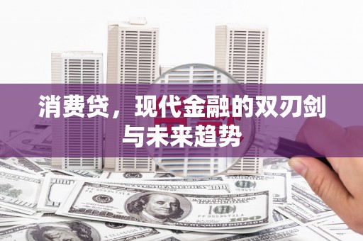 嘉善消费贷，现代金融的双刃剑与未来趋势