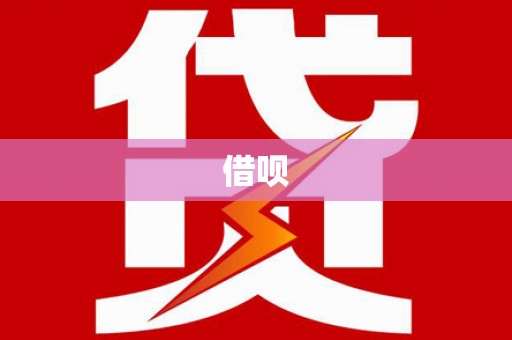 嘉善借呗