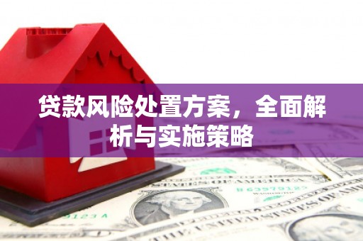 嘉善贷款风险处置方案，全面解析与实施策略